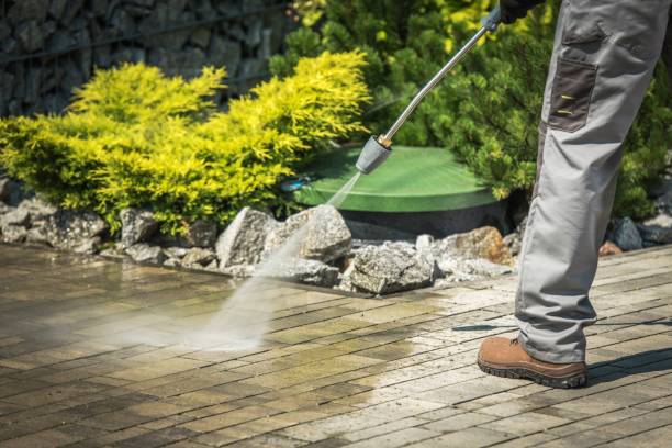 Best Animal Enclosure Cleaning  in Sawmills, NC